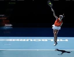 阿尔瓦雷斯：不认为自己有锦鲤特质，荣誉更多来自努力和坚持